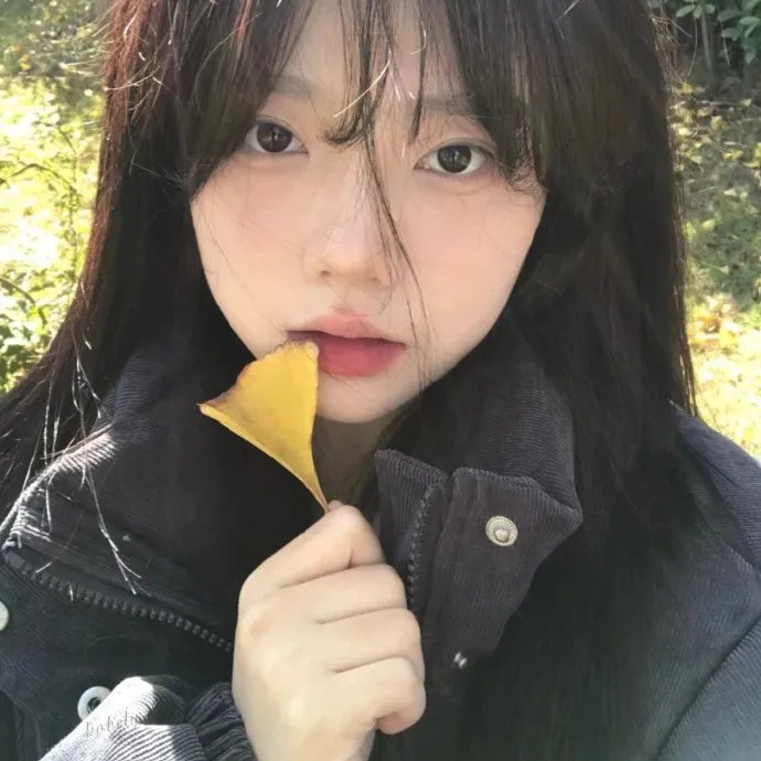 相思树